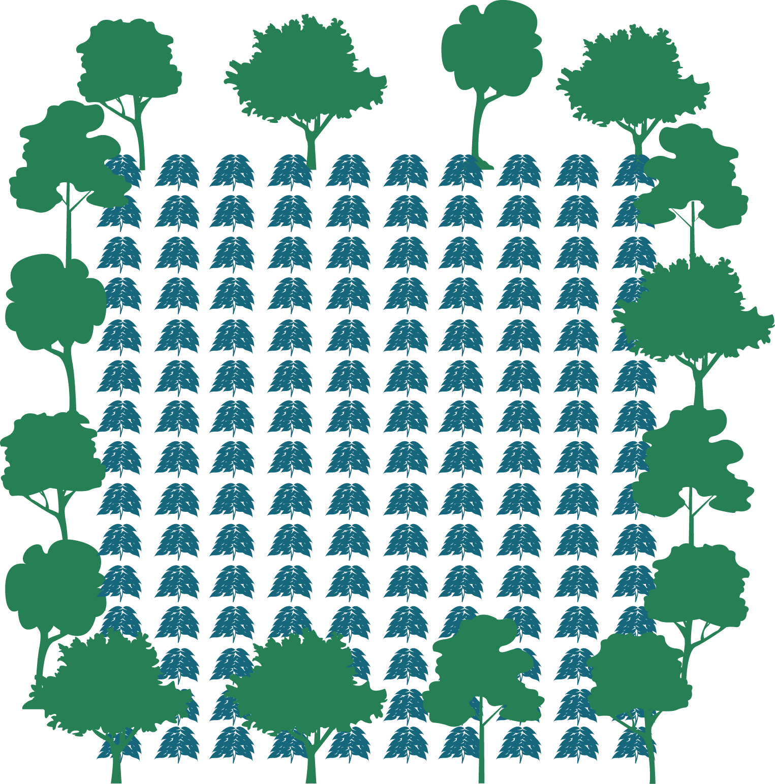 Perimeter Or Lines - Perimeter (1525x1544), Png Download