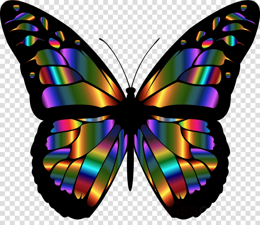 Download Passion Dust Intimacy Capsule Clipart Butterfly - Colorful Butterfly Wings Png (900x780), Png Download