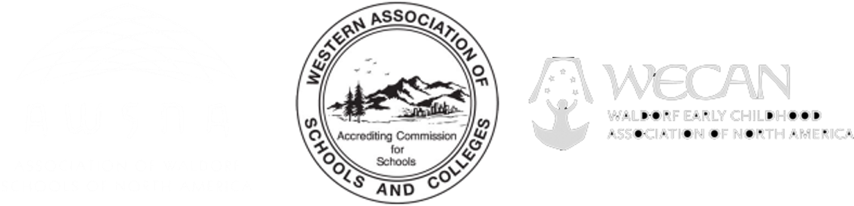 Accredited Member Of - Label (1276x331), Png Download