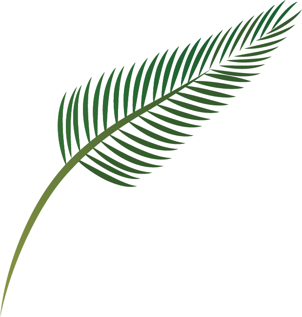 Null - Palm Branch (619x650), Png Download