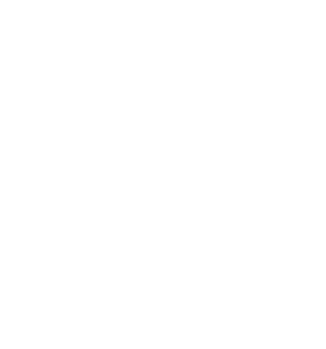 White Icon - World Map (1141x1160), Png Download