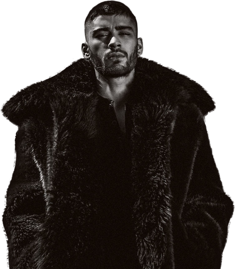 Zayn Malik (756x864), Png Download
