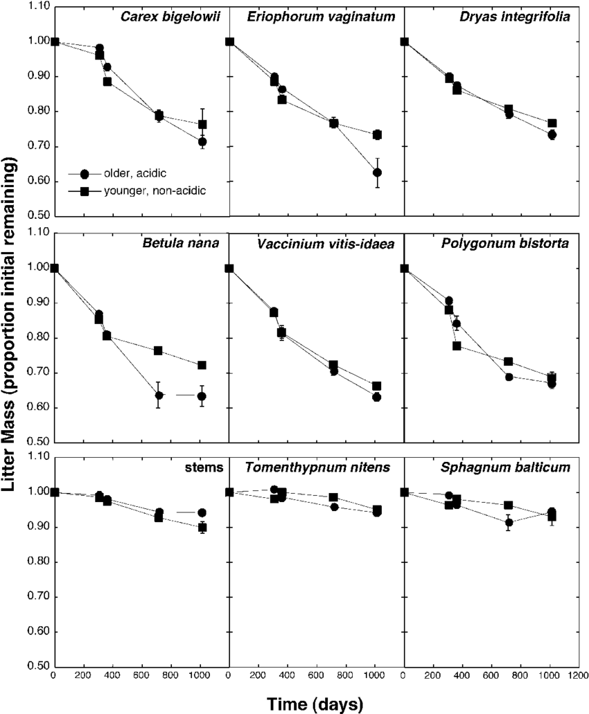 Decomposition Of Nine Substrates - Diagram (850x1031), Png Download