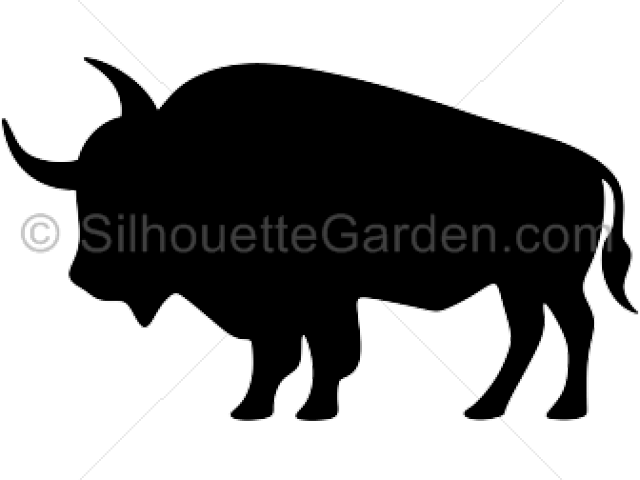 Buffalo Silhouette (640x480), Png Download