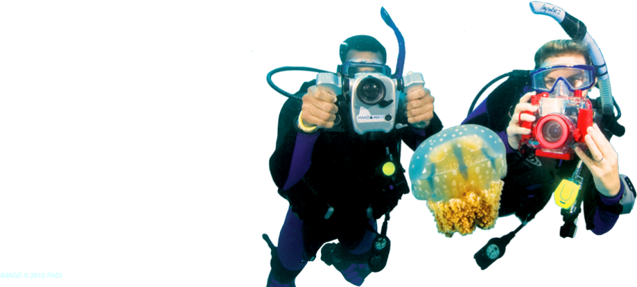 Underwater Diving Png Photo - Png Scuba Dive Kid (1000x427), Png Download