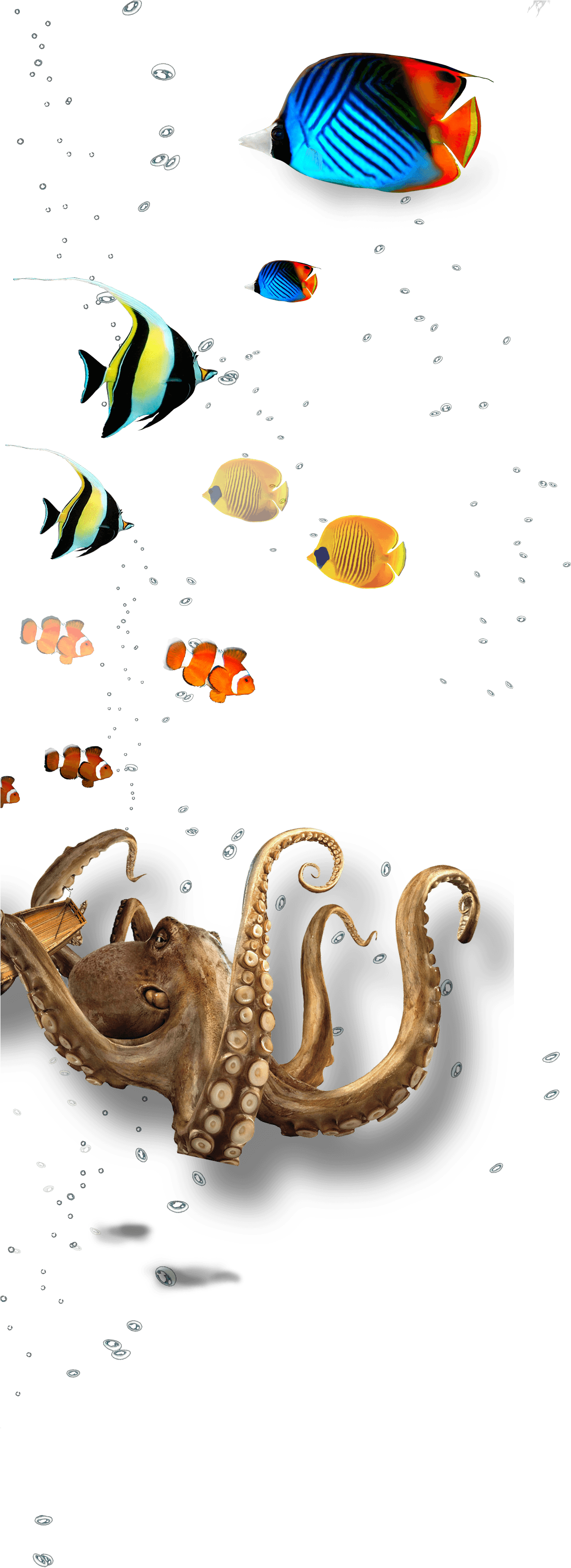 Underwater Layer 1 Full - Octopus (1366x5243), Png Download