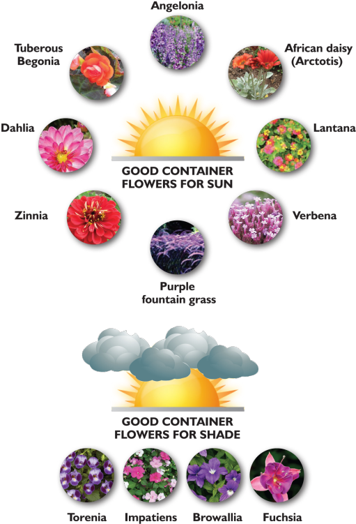 Chart (540x760), Png Download