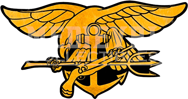 Seal Trident Png - Special Warfare Insignia (652x652), Png Download