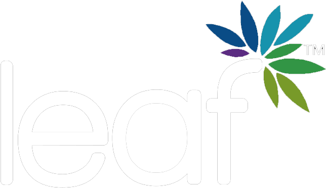 Leaf Artificial Plants And Topiary - Google Daydream (700x700), Png Download