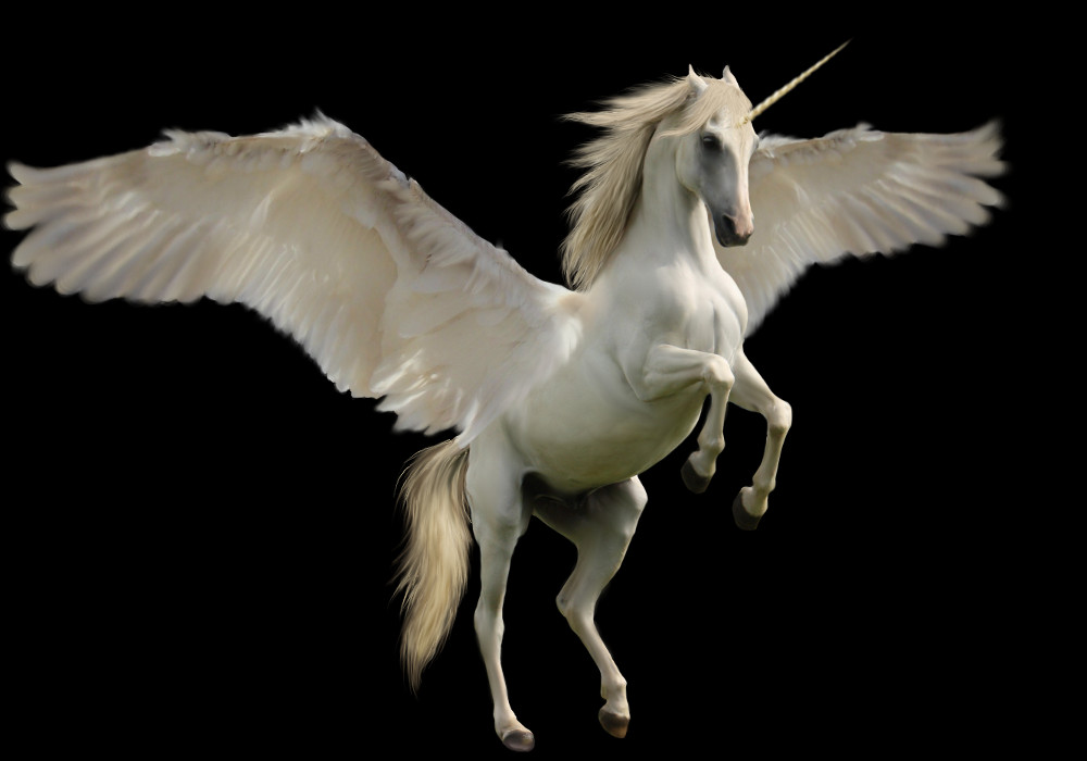 Unicorn Png Images - Pegasus (1000x700), Png Download
