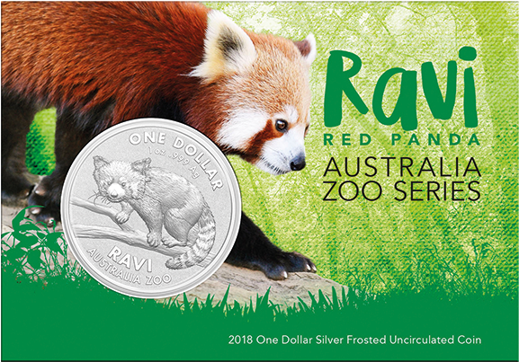 1 $ Ravi - Red Panda (600x600), Png Download