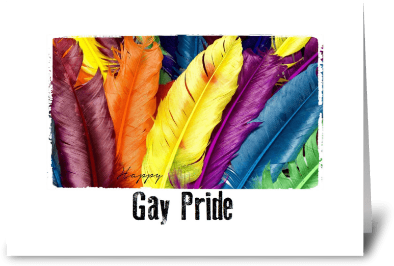 Gay Pride Feathers Greeting Card - Lloyd Tv 40 Inch (848x698), Png Download
