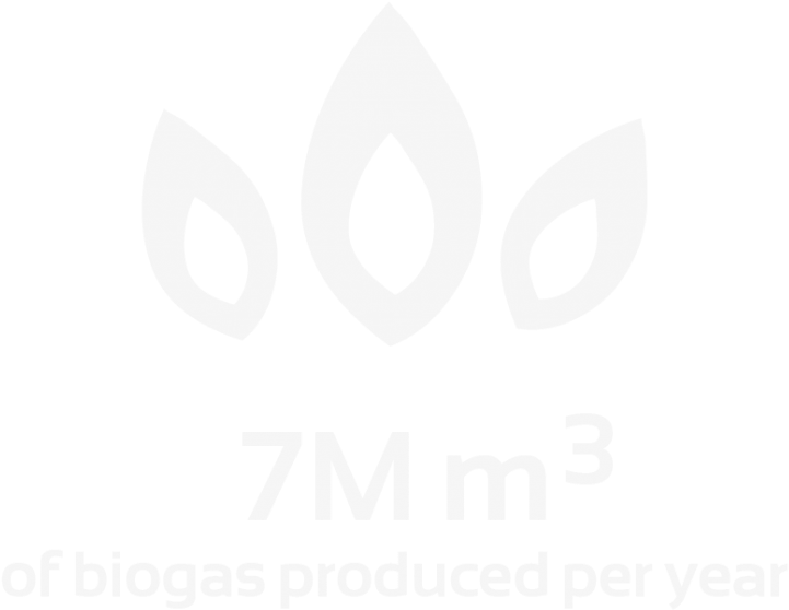 Bio In India And Kenya To Cook With Biogas - Sistema Biobolsa (1024x810), Png Download