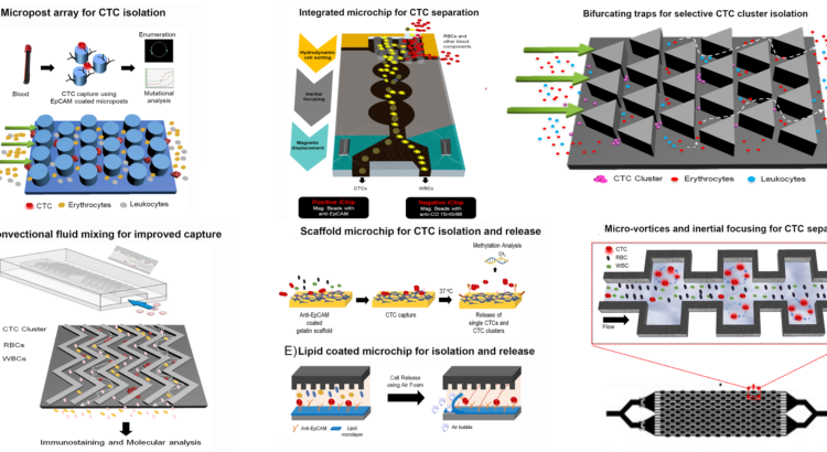 A Comprehensive Review On Ctc Clusters - Research (750x410), Png Download