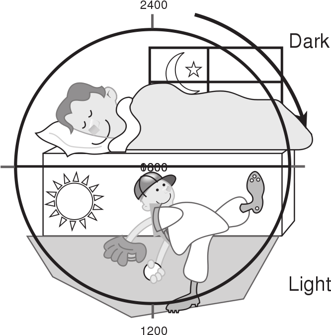 Day Night Concept Clipart Black And White (800x755), Png Download