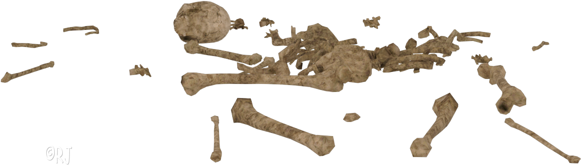 Bone Piles - Metalworking Hand Tool (1168x369), Png Download