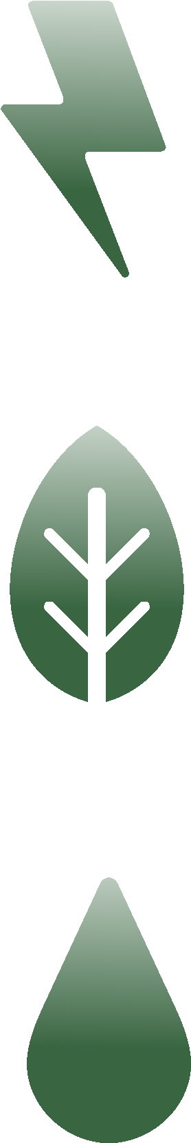 Symbols Vertical Elec,leaf,water - Emblem (640x1902), Png Download