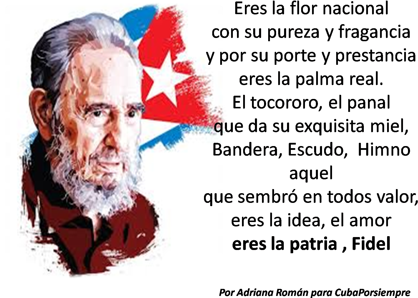 Por Adriana Román* - Fidel Castro (1464x1059), Png Download