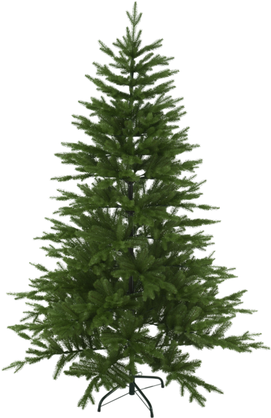 Christmas Tree Wasa - Real Christmas Tree Fir (600x600), Png Download