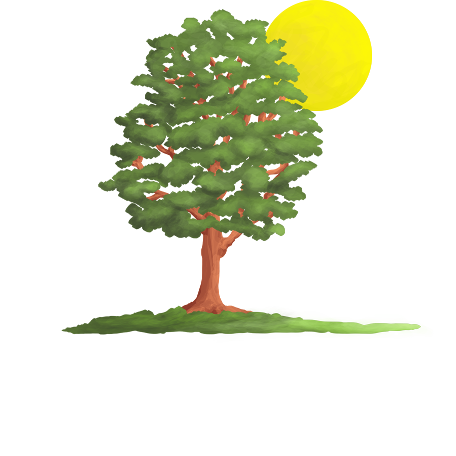 Visit - Christmas Tree (913x912), Png Download