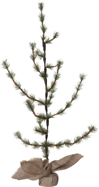 Decorative Tree Larix - Best Season Tannenbaum Im Jutesack Larix, Ca.90 X 50 (600x600), Png Download
