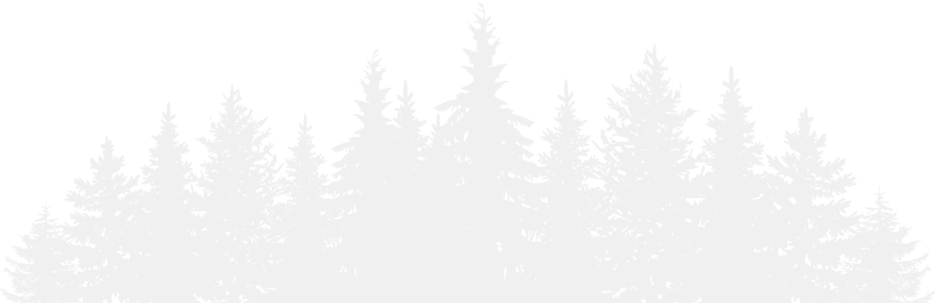 "like" Us - Christmas Day (1024x332), Png Download