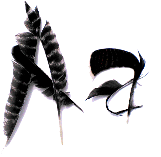 Plumas De Pavo - Insect (600x550), Png Download