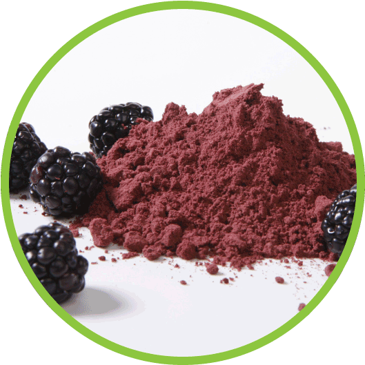 Blackberry - Powdered Vegetables (562x562), Png Download