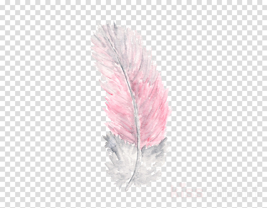 Plumas Tumblr Png Clipart Feather Clip Art - Clip Art (900x700), Png Download