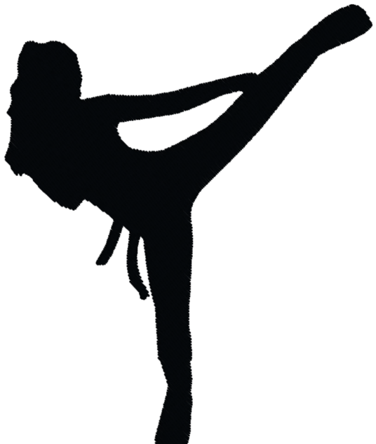 Karate Girl Kick Silhouette (900x675), Png Download