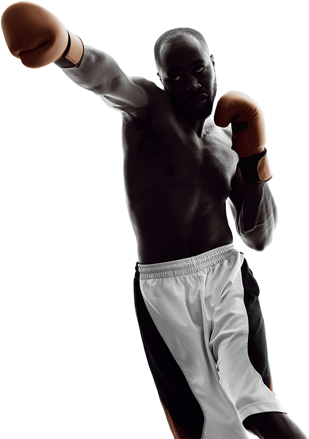 Hire Us To Appear In Court - Boxing (700x933), Png Download
