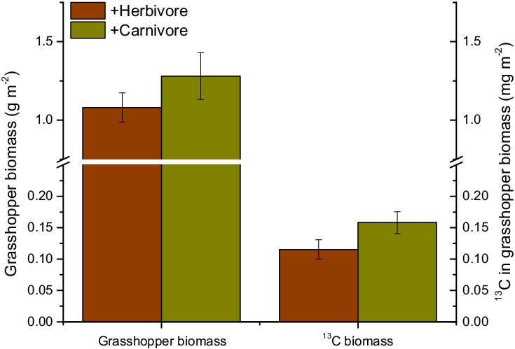 Total Grasshopper Biomass And Grasshopper Biomass Derived - Biomass (735x499), Png Download