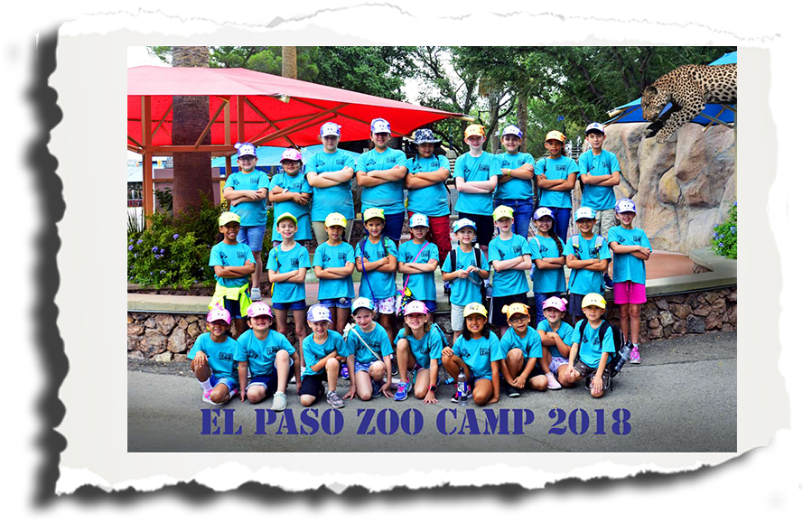 El Paso Zoological Society Zoo Camp - El Paso Zoological Society (1000x693), Png Download