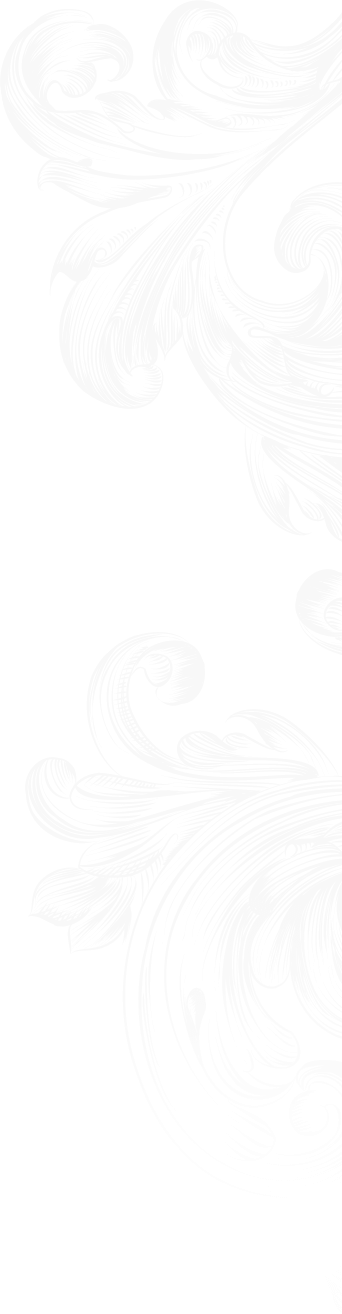 Overview Engraver Contest Gallery - Sketch (342x1314), Png Download