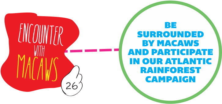 Is Surrounded By Macaws, Being Able To Experience The - Graphic Design (960x339), Png Download