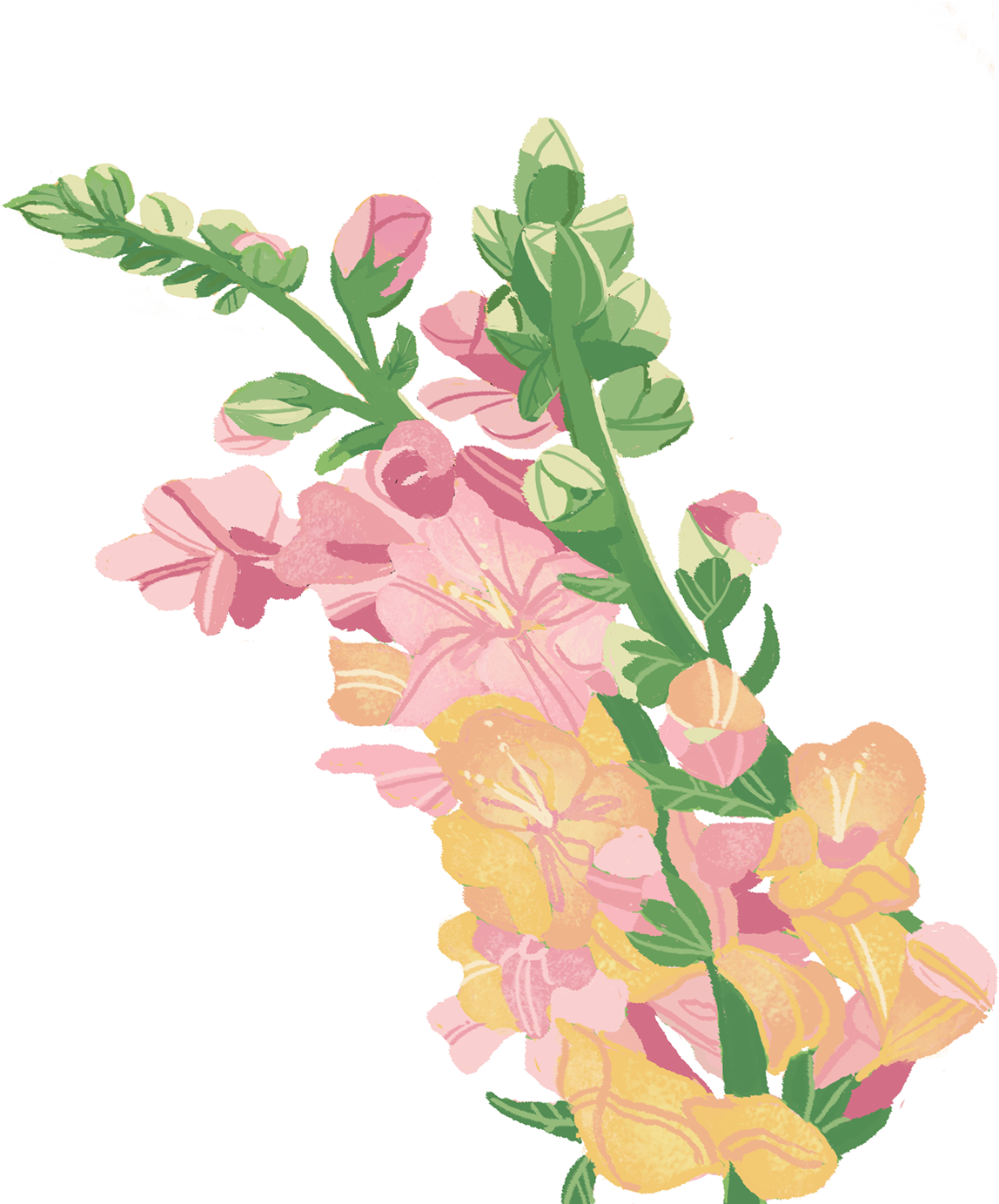 A Study Of My Begonia Plant - Artificial Flower (1200x1403), Png Download