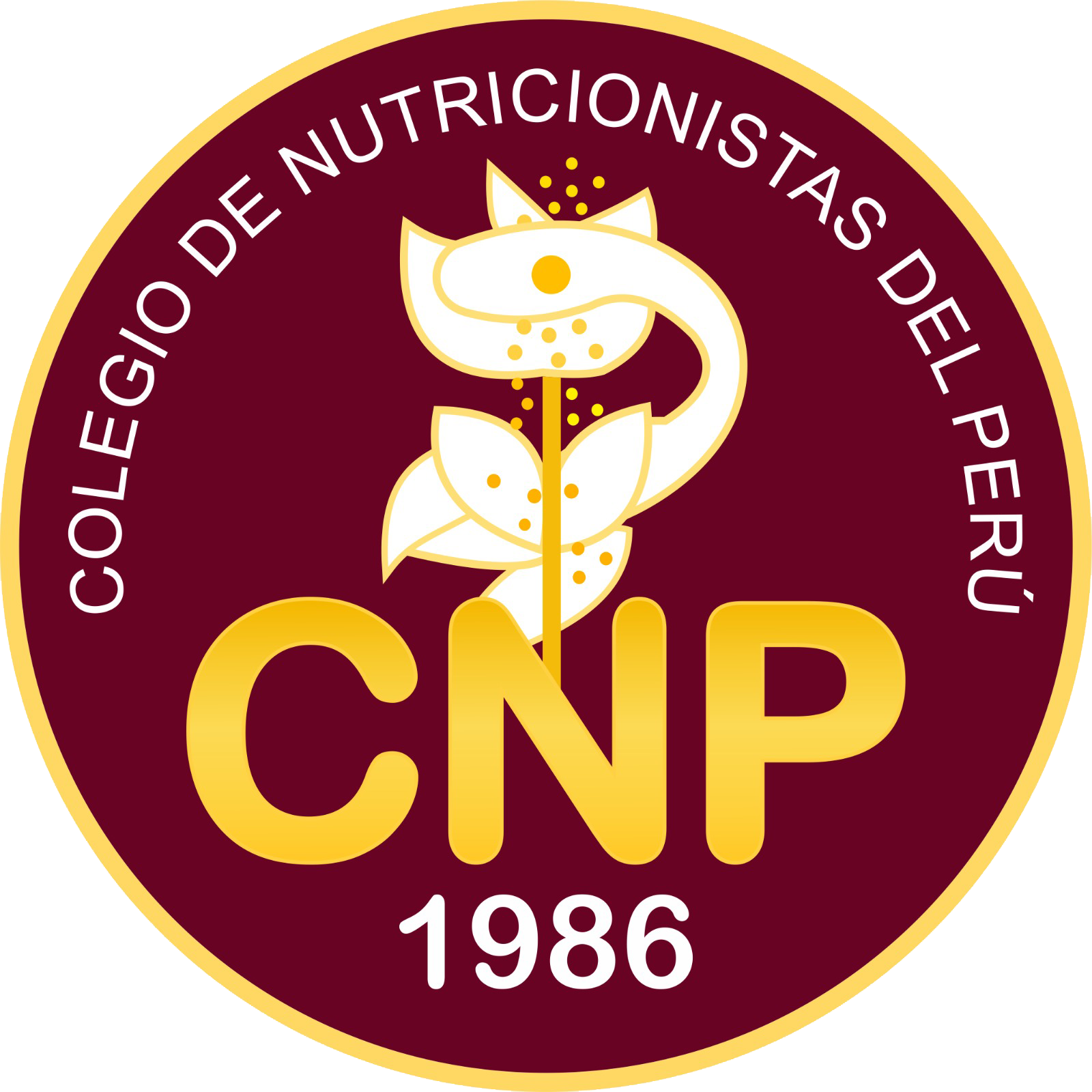 Img 20161124 Wa0008 - Colegio De Nutricionistas Del Peru (1024x1024), Png Download