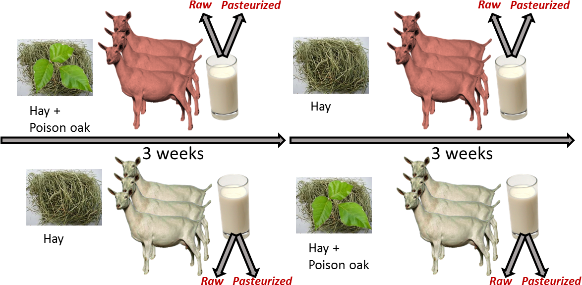 Experimental Design - Design (1187x612), Png Download