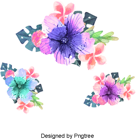 Beautiful Paintings Of Flowers Vector Material, Illustration - Portable Network Graphics (800x800), Png Download