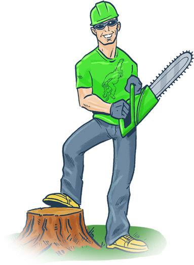 Tree Removal Services In Orlando Florida - Tree Removal (409x529), Png Download