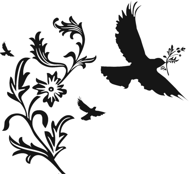 Share This Image - Dove Wallpaper For Iphone (650x600), Png Download