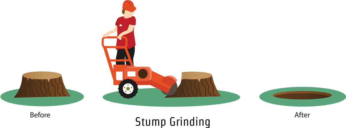 An Illustration Demonstrating Stump Grinding In Southampton, - Stump Grinder Clipart (1200x444), Png Download