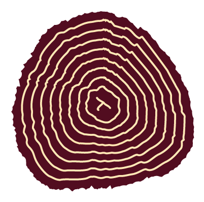 Tree Stump - Circle (402x397), Png Download