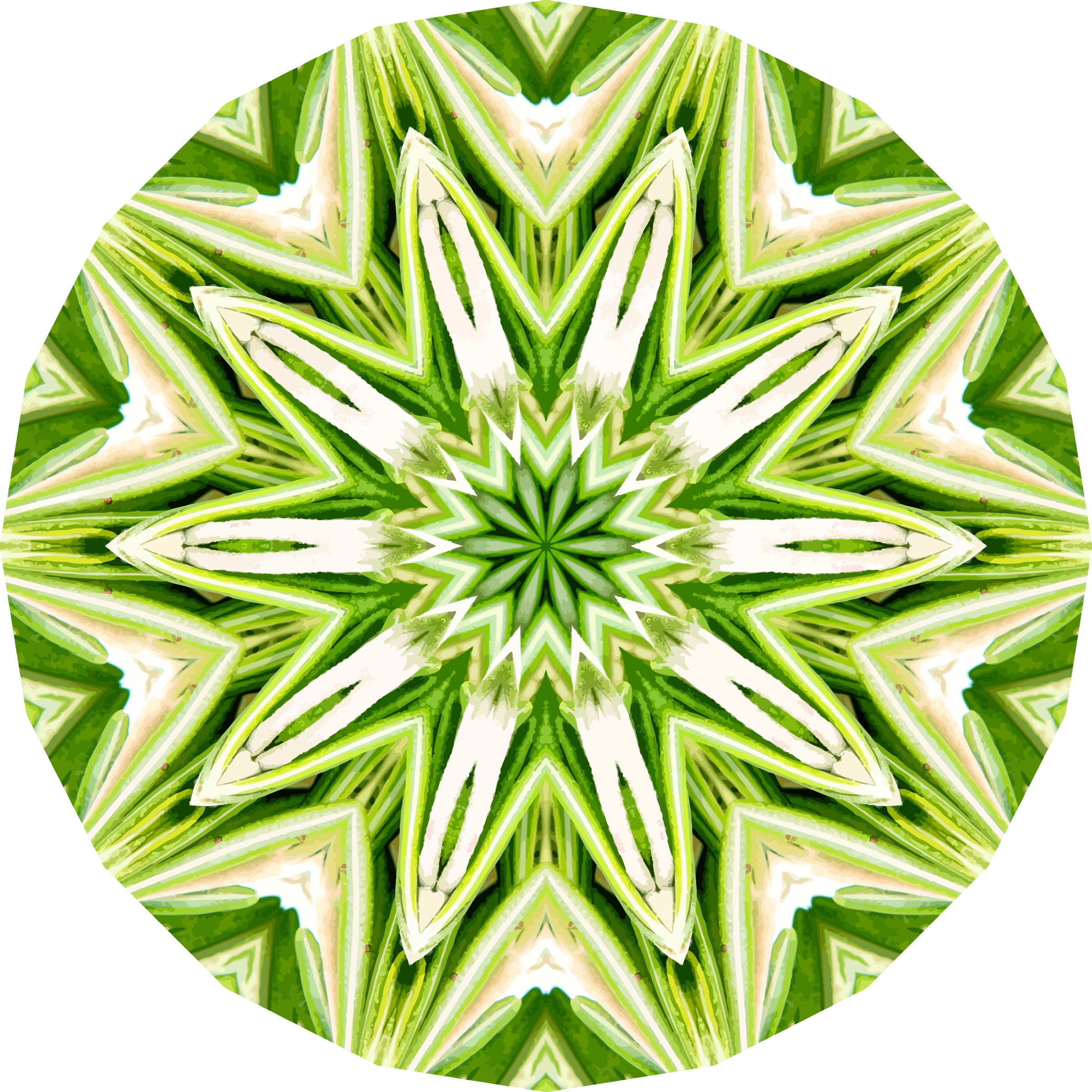 This Free Icons Png Design Of Rosemary Kaleidoscope (2400x2400), Png Download
