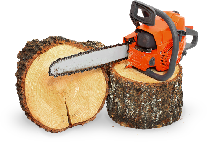 Chain Saw - Chainsaw (701x483), Png Download