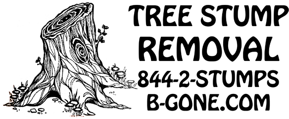 Tree Stump Removal North Carolina East Coast Usa - Wyco Products Tonight I Want (632x258), Png Download