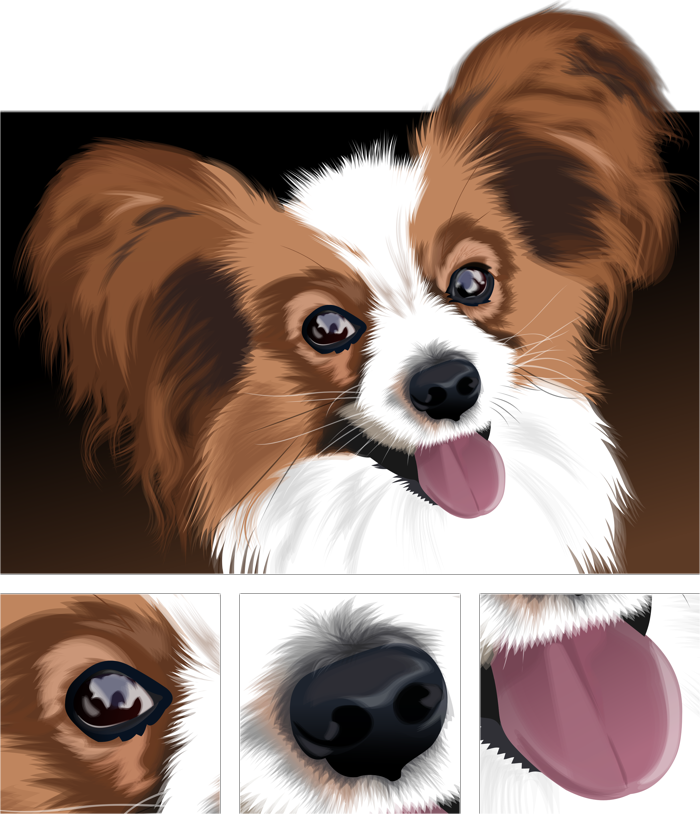 Papillon - Best Gift - Figure Continental Toy Spaniel Type Papillon (700x814), Png Download