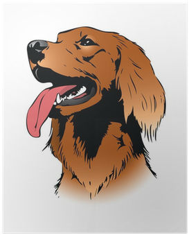 Irish Setter Dog - Storm: A Dog's Quest (400x400), Png Download