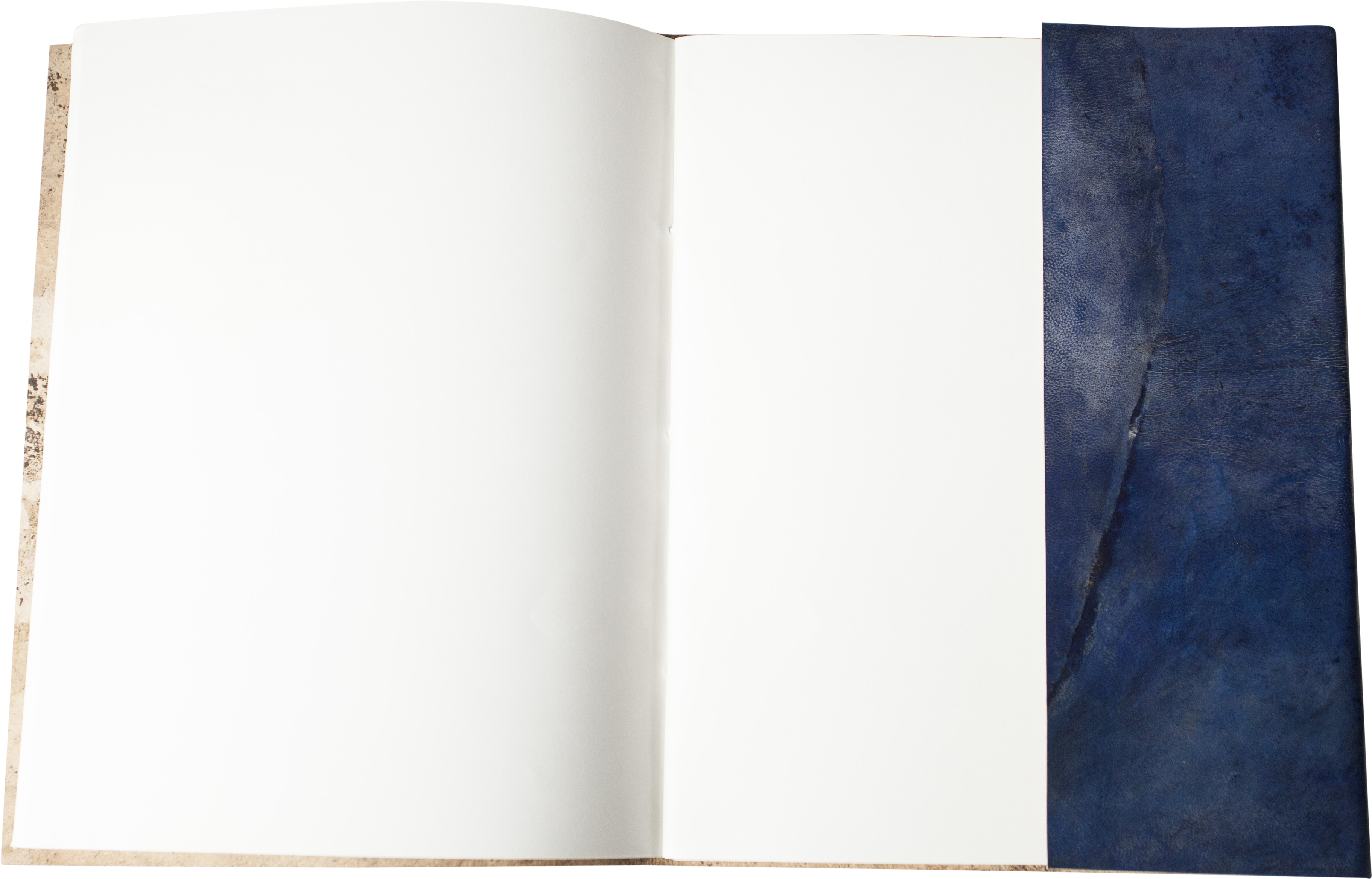 Sketchbook Extra Large - Autodesk Sketchbook Pro (4301x2755), Png Download