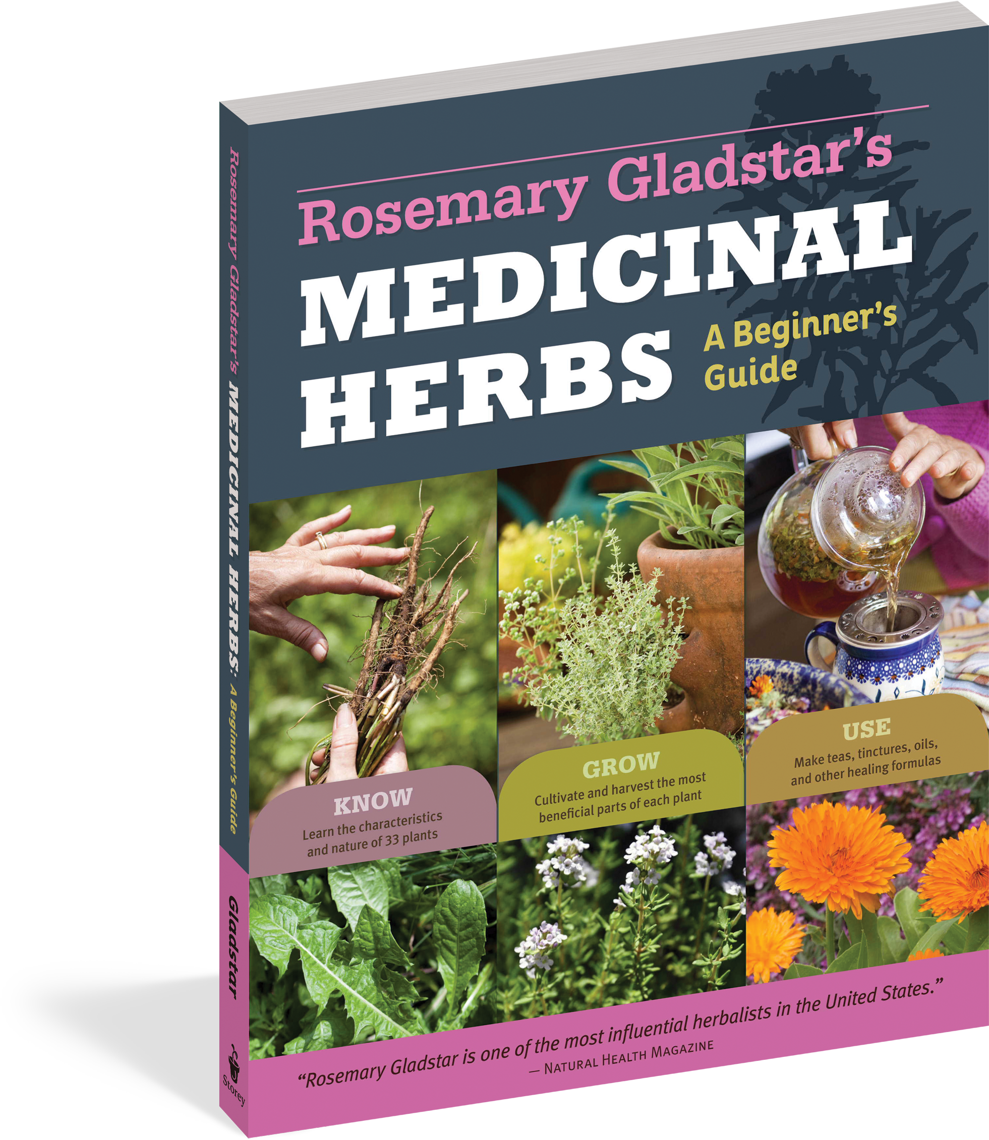 Rosemary Gladstar's Medicinal Herbs - Medicinal Herbs Rosemary Gladstars (2100x2400), Png Download